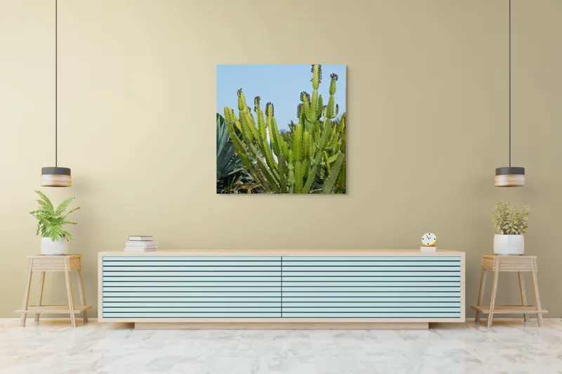 Tablou Canvas, "Cactuși în bătaia soarelui de vară", 100 x 100 cm – poza 5