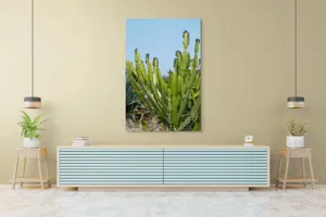 Tablou Canvas, "Cactuși în bătaia soarelui de vară", 100 x 150 cm – poza 4