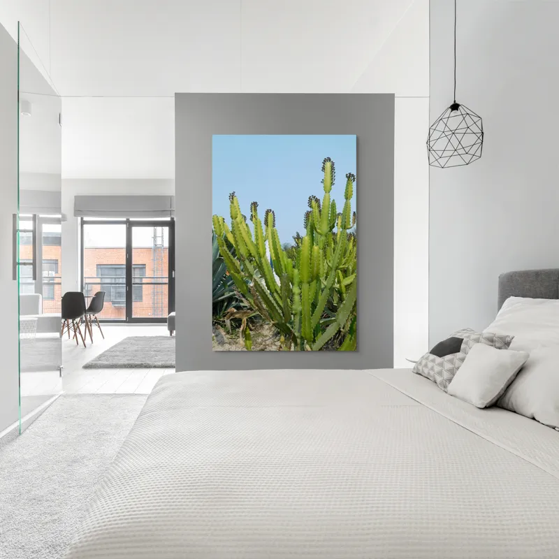 Tablou Canvas, "Cactuși în bătaia soarelui de vară", 100 x 150 cm – poza 5