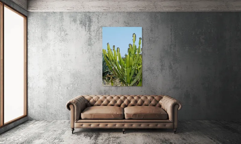 Tablou Canvas, "Cactuși în bătaia soarelui de vară", 100 x 150 cm – poza 6