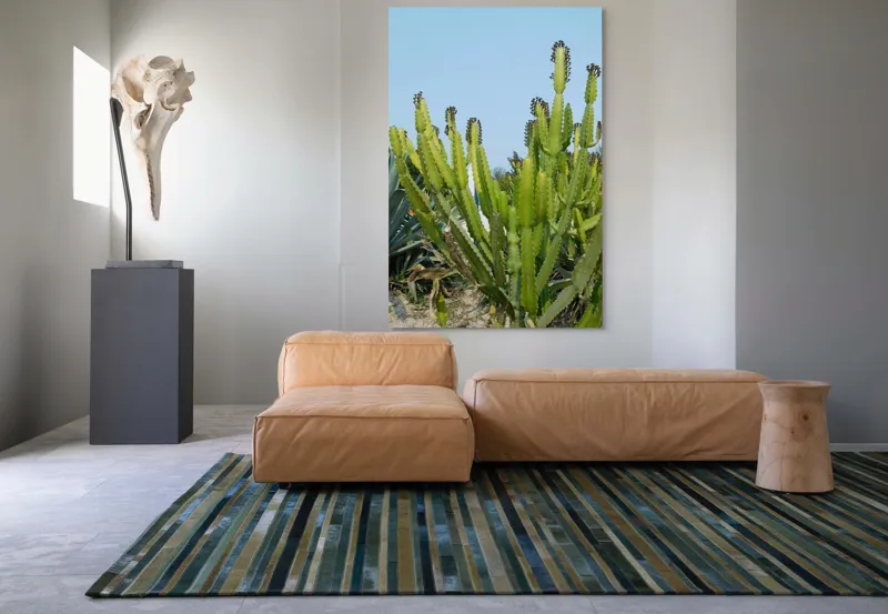 Tablou Canvas, "Cactuși în bătaia soarelui de vară", 100 x 150 cm – poza 7