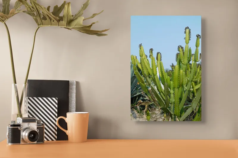 Tablou Canvas, "Cactuși în bătaia soarelui de vară", 26 x 39 cm – poza 3