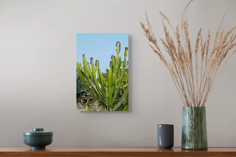 Tablou Canvas, "Cactuși în bătaia soarelui de vară", 26 x 39 cm – poza 5