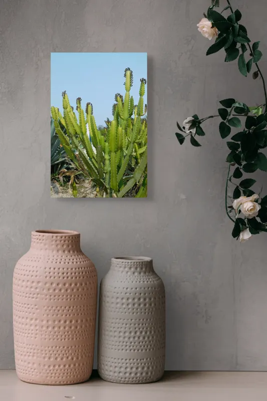 Tablou Canvas, "Cactuși în bătaia soarelui de vară", 26 x 39 cm – poza 6