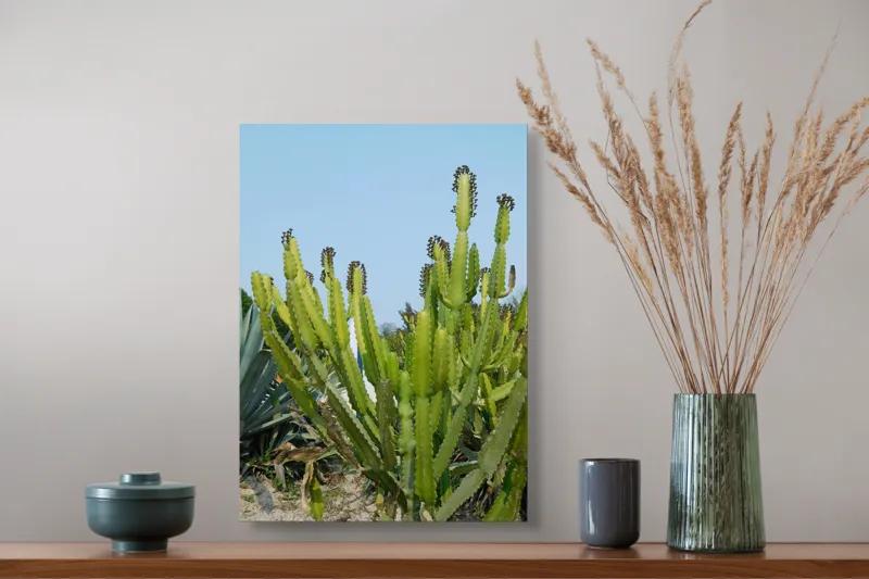 Tablou Canvas, "Cactuși în bătaia soarelui de vară", 39 x 54 cm – poza 3