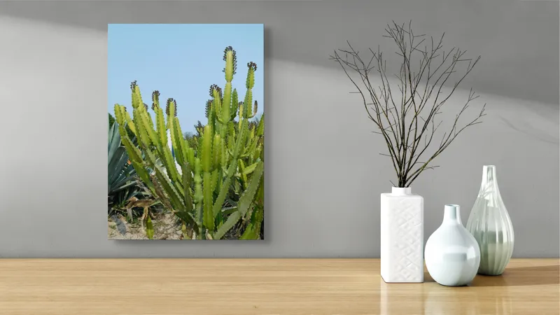 Tablou Canvas, "Cactuși în bătaia soarelui de vară", 39 x 54 cm – poza 4