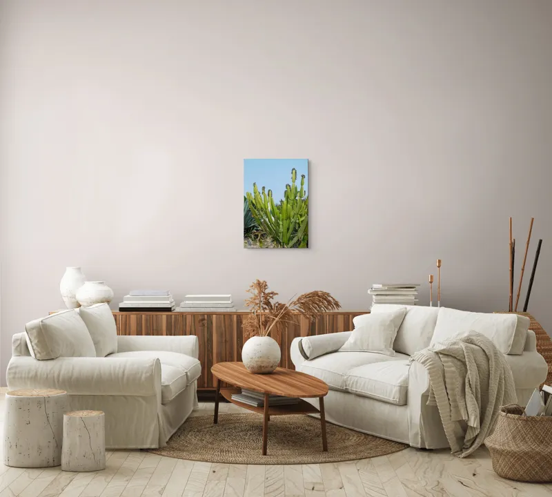 Tablou Canvas, "Cactuși în bătaia soarelui de vară", 39 x 54 cm – poza 5