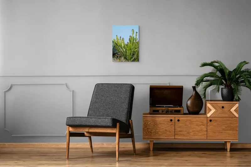 Tablou Canvas, "Cactuși în bătaia soarelui de vară", 39 x 54 cm – poza 8
