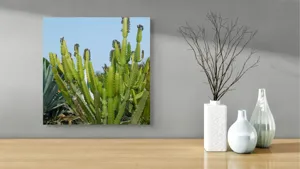 Tablou Canvas, "Cactuși în bătaia soarelui de vară", 50 x 50 cm – poza 3