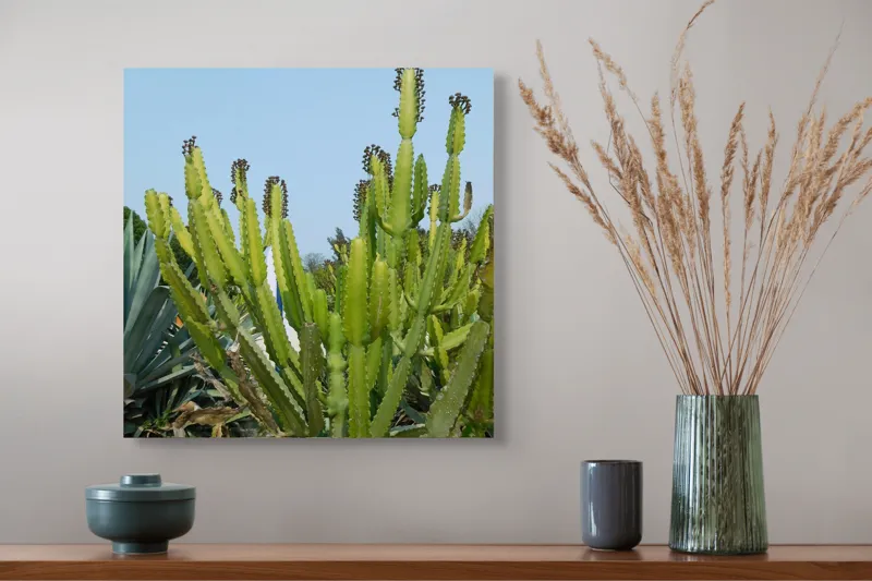 Tablou Canvas, "Cactuși în bătaia soarelui de vară", 50 x 50 cm – poza 4