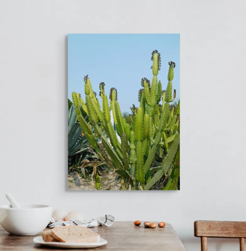 Tablou Canvas, "Cactuși în bătaia soarelui de vară", 50 x 70 cm – poza 3