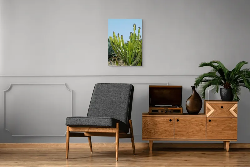 Tablou Canvas, "Cactuși în bătaia soarelui de vară", 50 x 70 cm – poza 8