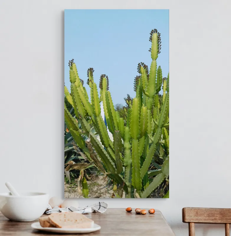 Tablou Canvas, "Cactuși în bătaia soarelui de vară", 50 x 90 cm – poza 3
