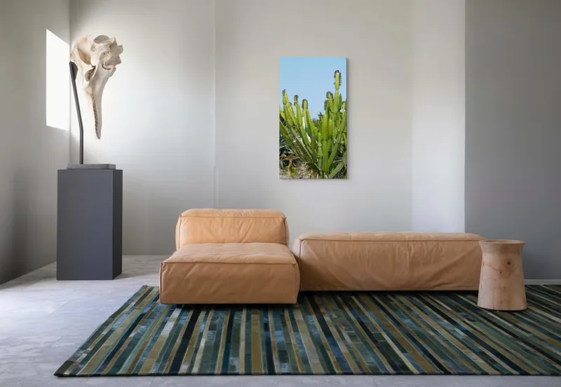 Tablou Canvas, "Cactuși în bătaia soarelui de vară", 50 x 90 cm – poza 5
