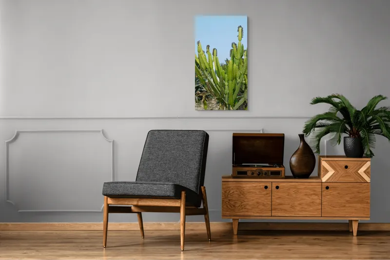 Tablou Canvas, "Cactuși în bătaia soarelui de vară", 50 x 90 cm – poza 8