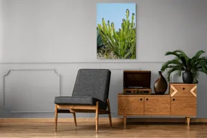 Tablou Canvas, "Cactuși în bătaia soarelui de vară", 70 x 100 cm – poza 6
