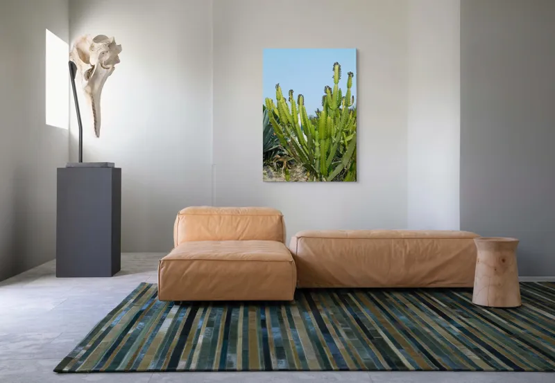 Tablou Canvas, "Cactuși în bătaia soarelui de vară", 70 x 100 cm – poza 7