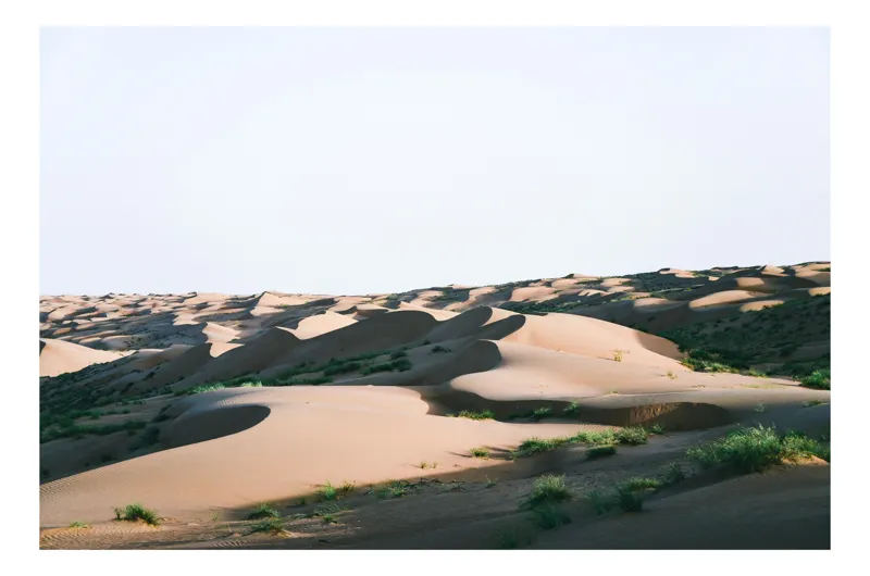 Tablou Canvas, "Valuri de nisip în deșertul arid", Deșert, Dune, Nisip, Umbre, Lumină, Vegetație, Pustiu, Peisaj, Seară, Solitudine, 100 x 100 cm