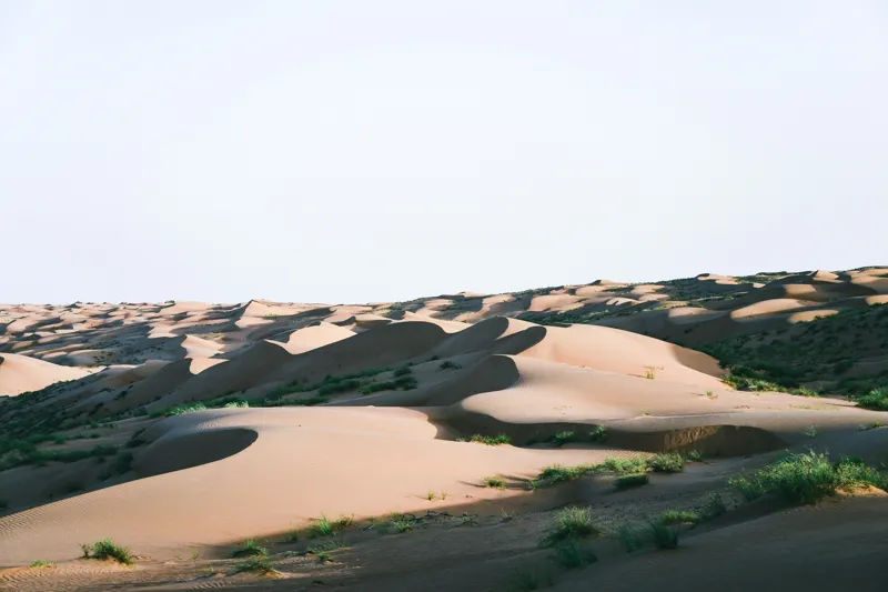 Tablou Canvas, "Valuri de nisip în deșertul arid", Deșert, Dune, Nisip, Umbre, Lumină, Vegetație, Pustiu, Peisaj, Seară, Solitudine, 150 x 100 cm – poza 2