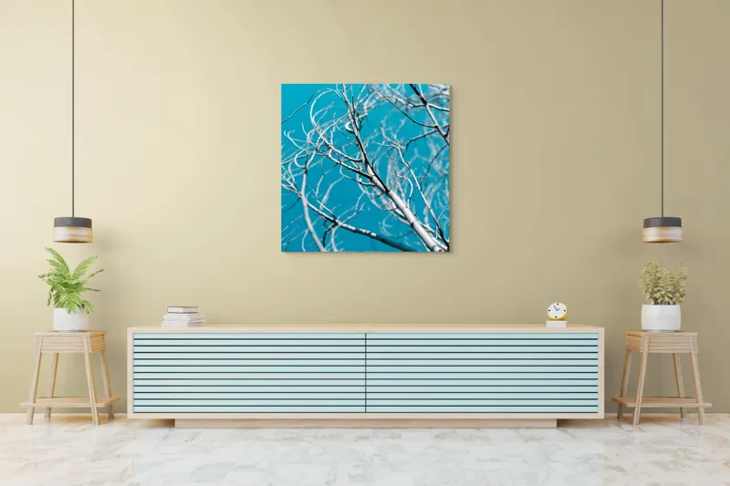 Tablou Canvas, "Crengile albastre ale cerului senin", Ramuri, Cer, Albastru, Uscat, Abstract, Natură, Contrast, Simplu, 100 x 100 cm – poza 5