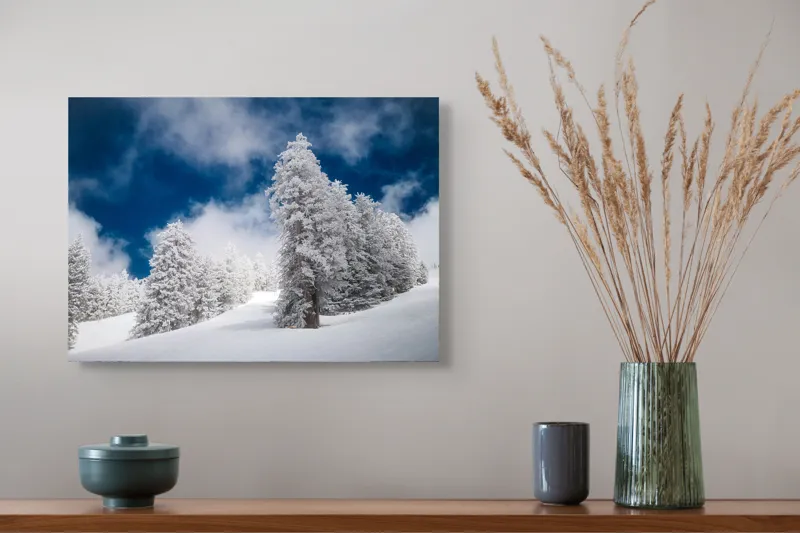 Tablou Canvas, "Pădurea de iarnă sub cer albastru", Zăpadă, Copaci, Cer, Alb, Albastru, Iarnă, Peisaj, Natură, Frig, Frunziș, 54 x 39 cm – poza 4