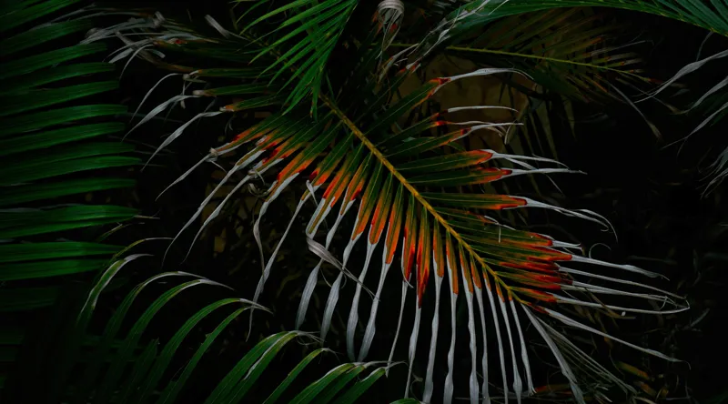 Tablou Canvas, "Frunza exotică în umbra nopții", Frunze, Verde, Întuneric, Tropical, Contrast, Portocaliu, Misterios, Intensitate, Frumusețe, Natură, 90 x 50 cm – poza 2