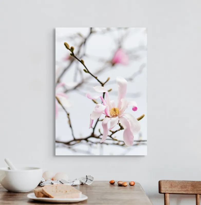 Tablou Canvas, "Magnolie delicată înflorită primăvara", Floare, Frumusețe, Delicatețe, Primăvară, Natură, Petale, Culoare, Eleganță, 50 x 70 cm – poza 3