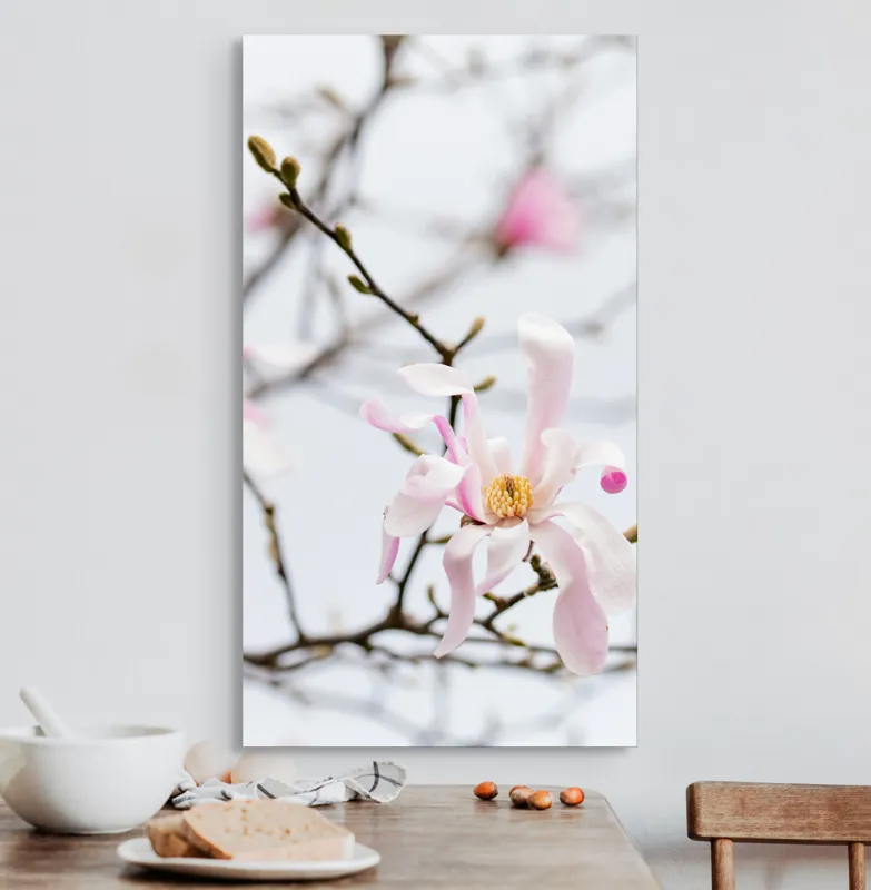 Tablou Canvas, "Magnolie delicată înflorită primăvara", Floare, Frumusețe, Delicatețe, Primăvară, Natură, Petale, Culoare, Eleganță, 50 x 90 cm – poza 3