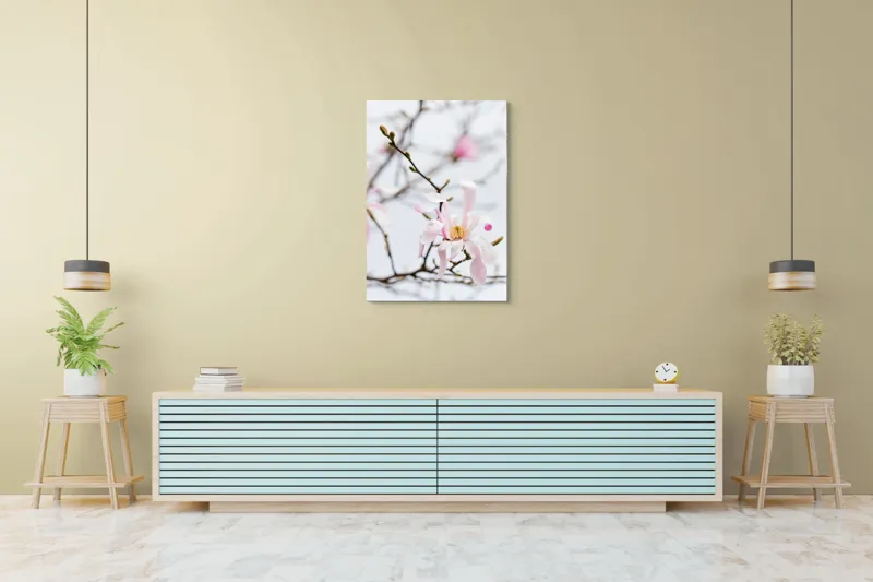 Tablou Canvas, "Magnolie delicată înflorită primăvara", Floare, Frumusețe, Delicatețe, Primăvară, Natură, Petale, Culoare, Eleganță, 70 x 100 cm – poza 5
