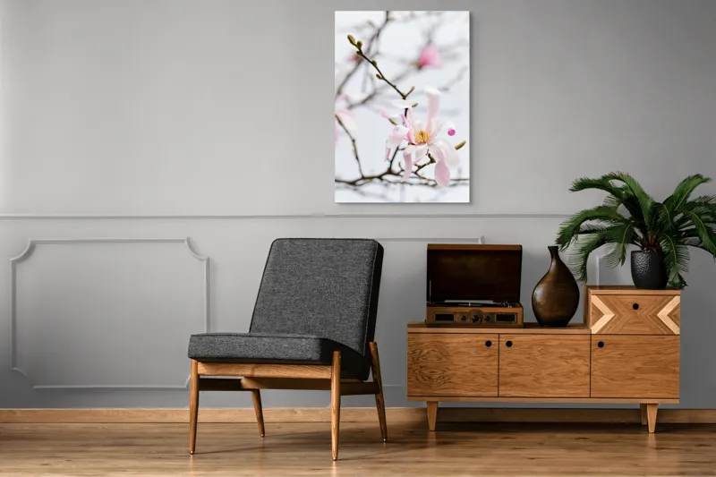 Tablou Canvas, "Magnolie delicată înflorită primăvara", Floare, Frumusețe, Delicatețe, Primăvară, Natură, Petale, Culoare, Eleganță, 70 x 100 cm – poza 6