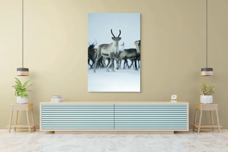 Tablou Canvas, "Ren alături de tovarășii săi", Ren, Zăpadă, Cer, Fulgi, Antler, Iarnă, Peisaj, Grup, Armonie, Natură, 100 x 150 cm – poza 4