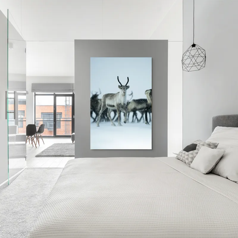 Tablou Canvas, "Ren alături de tovarășii săi", Ren, Zăpadă, Cer, Fulgi, Antler, Iarnă, Peisaj, Grup, Armonie, Natură, 100 x 150 cm – poza 5