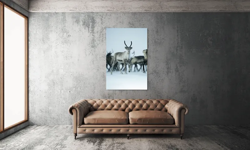 Tablou Canvas, "Ren alături de tovarășii săi", Ren, Zăpadă, Cer, Fulgi, Antler, Iarnă, Peisaj, Grup, Armonie, Natură, 100 x 150 cm – poza 6