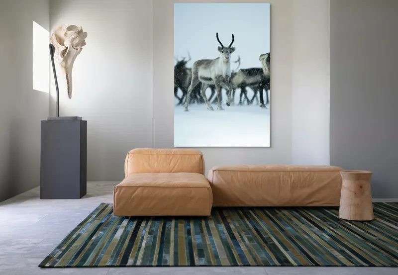 Tablou Canvas, "Ren alături de tovarășii săi", Ren, Zăpadă, Cer, Fulgi, Antler, Iarnă, Peisaj, Grup, Armonie, Natură, 100 x 150 cm – poza 7