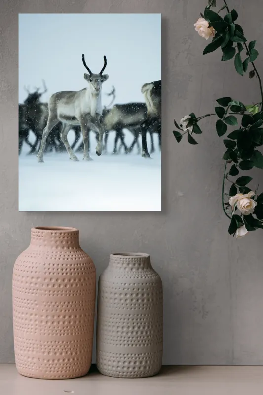 Tablou Canvas, "Ren alături de tovarășii săi", Ren, Zăpadă, Cer, Fulgi, Antler, Iarnă, Peisaj, Grup, Armonie, Natură, 39 x 54 cm – poza 6