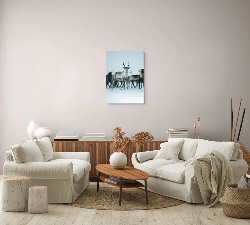 Tablou Canvas, "Ren alături de tovarășii săi", Ren, Zăpadă, Cer, Fulgi, Antler, Iarnă, Peisaj, Grup, Armonie, Natură, 50 x 70 cm – poza 4