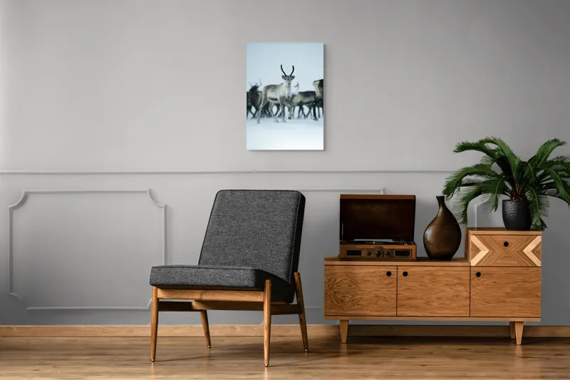 Tablou Canvas, "Ren alături de tovarășii săi", Ren, Zăpadă, Cer, Fulgi, Antler, Iarnă, Peisaj, Grup, Armonie, Natură, 50 x 70 cm – poza 8