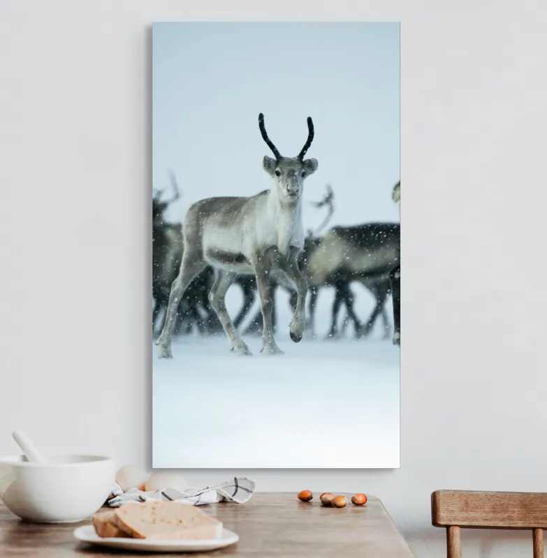 Tablou Canvas, "Ren alături de tovarășii săi", Ren, Zăpadă, Cer, Fulgi, Antler, Iarnă, Peisaj, Grup, Armonie, Natură, 50 x 90 cm – poza 3