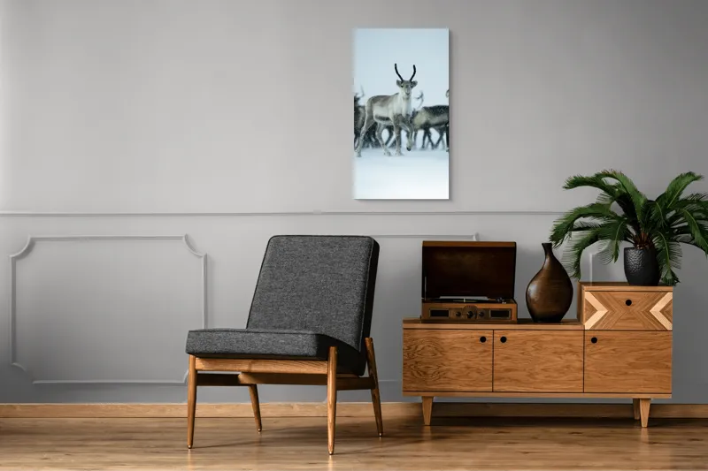 Tablou Canvas, "Ren alături de tovarășii săi", Ren, Zăpadă, Cer, Fulgi, Antler, Iarnă, Peisaj, Grup, Armonie, Natură, 50 x 90 cm – poza 8
