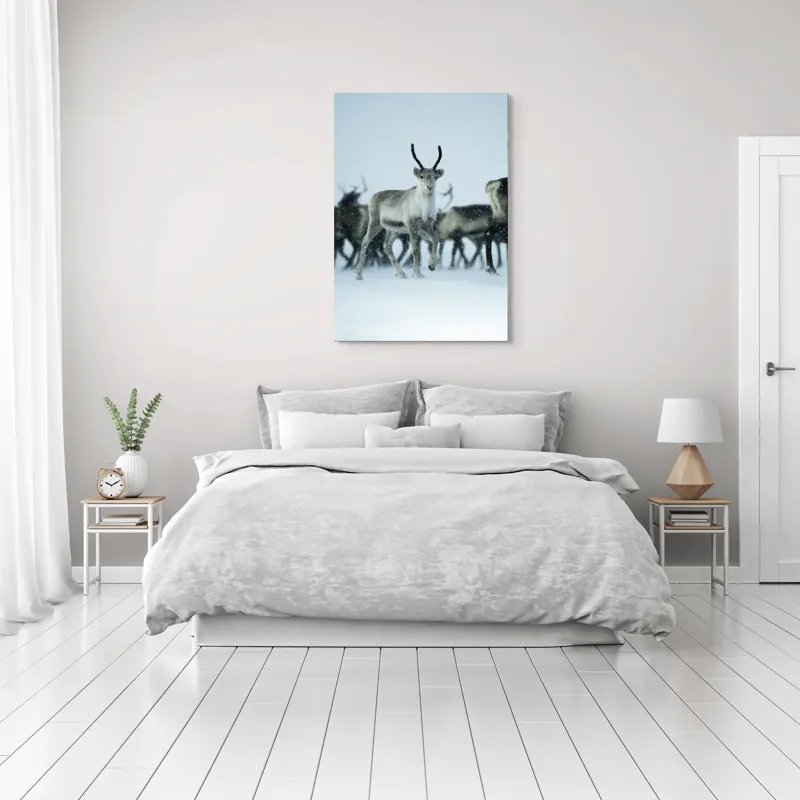 Tablou Canvas, "Ren alături de tovarășii săi", Ren, Zăpadă, Cer, Fulgi, Antler, Iarnă, Peisaj, Grup, Armonie, Natură, 70 x 100 cm – poza 3