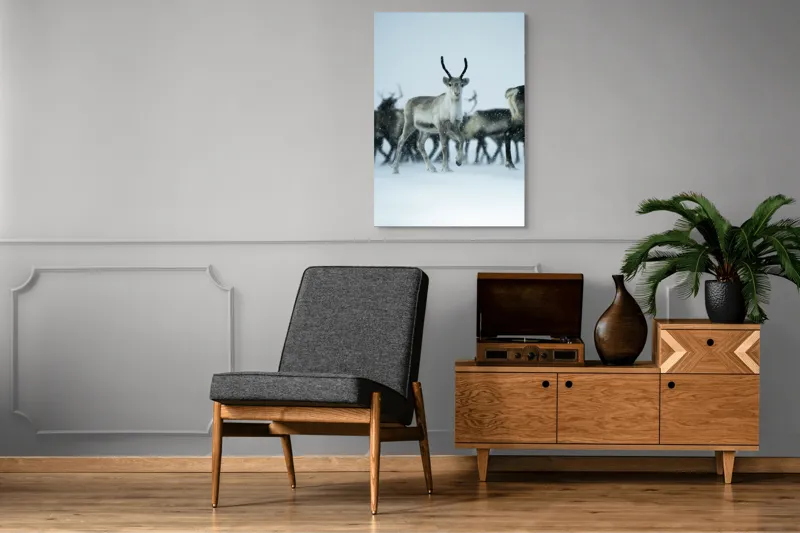 Tablou Canvas, "Ren alături de tovarășii săi", Ren, Zăpadă, Cer, Fulgi, Antler, Iarnă, Peisaj, Grup, Armonie, Natură, 70 x 100 cm – poza 6
