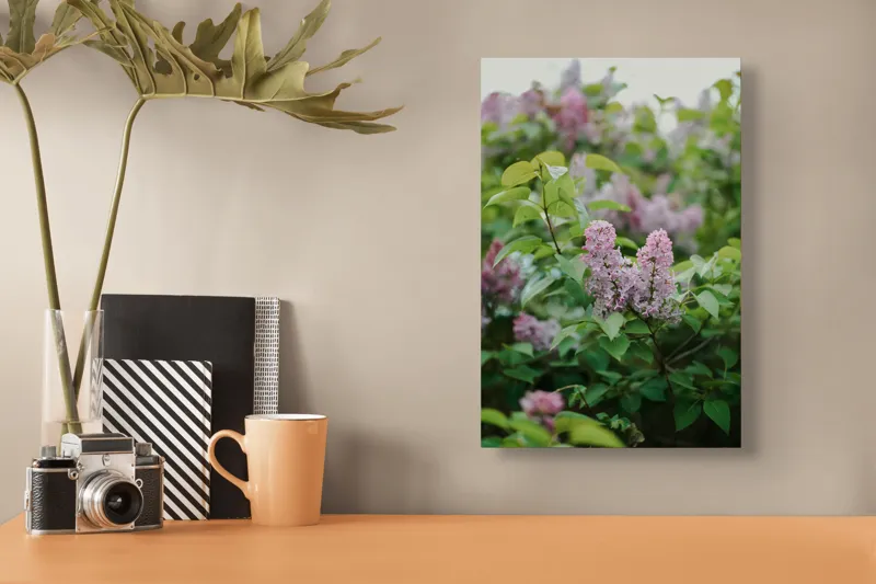 Tablou Canvas, "Flori de liliac în grădina primăverii", Liliac, Frunze, Verde, Delicat, Tufe, Primăvară, Roz, Floricele., 26 x 39 cm – poza 3