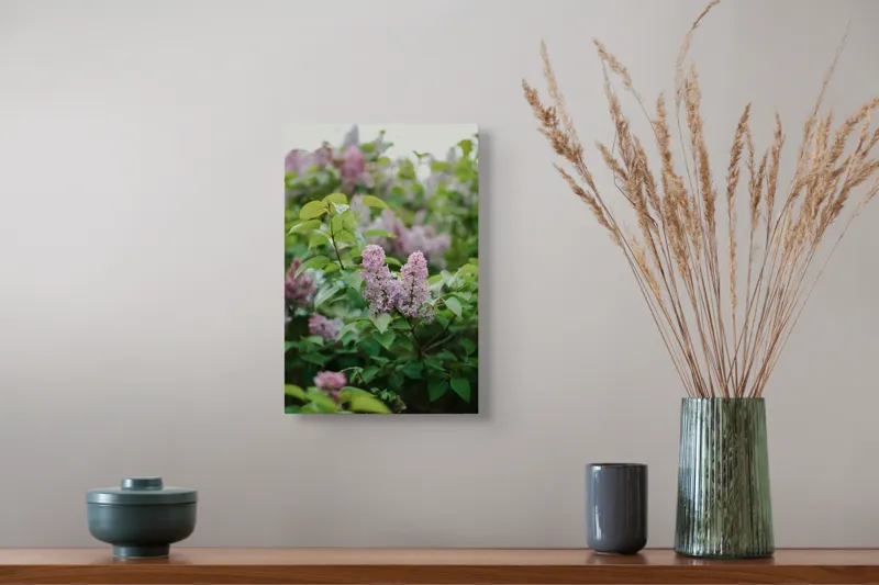 Tablou Canvas, "Flori de liliac în grădina primăverii", Liliac, Frunze, Verde, Delicat, Tufe, Primăvară, Roz, Floricele., 26 x 39 cm – poza 5