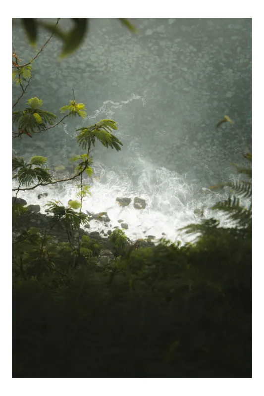 Tablou Canvas, "Priveliște de pe stânca înaltă", Frunziș, Stânci, Valuri, Apă, Verde, Spumă, Margină, Natură, 50 x 90 cm