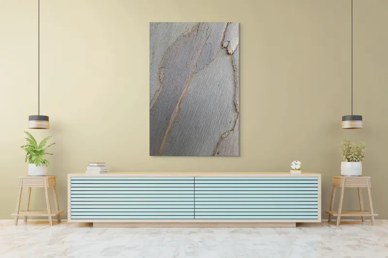 Tablou Canvas, "Bucăți de scoarță pe copac alb", Piele, Textură, Natural, Model, Organic, Suprafață, Arbor., 100 x 150 cm – poza 4