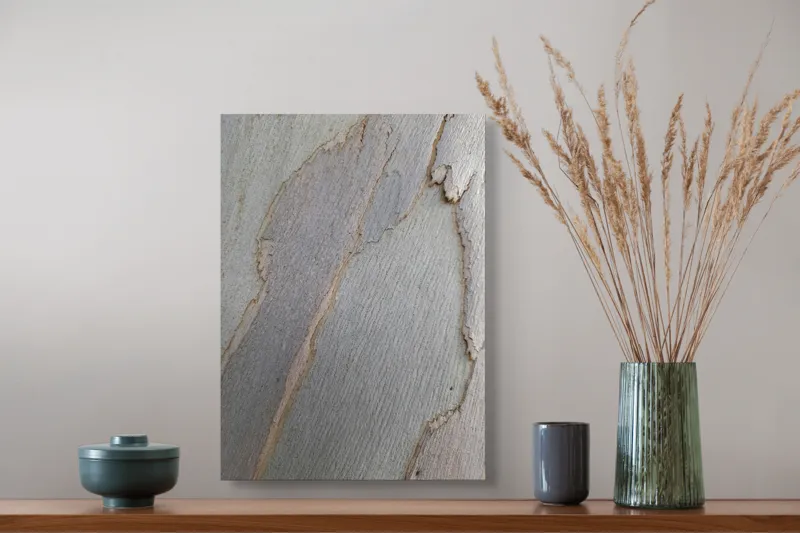 Tablou Canvas, "Bucăți de scoarță pe copac alb", Piele, Textură, Natural, Model, Organic, Suprafață, Arbor., 39 x 54 cm – poza 3