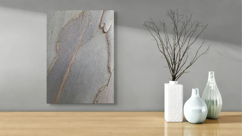 Tablou Canvas, "Bucăți de scoarță pe copac alb", Piele, Textură, Natural, Model, Organic, Suprafață, Arbor., 39 x 54 cm – poza 4
