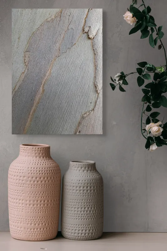 Tablou Canvas, "Bucăți de scoarță pe copac alb", Piele, Textură, Natural, Model, Organic, Suprafață, Arbor., 39 x 54 cm – poza 6