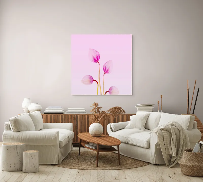 Tablou Canvas, "Corole roz spre lumina dimineții", Floare, Grație, Delicatețe, Pastel, Subtilitate, Artă, Natură, Simplitate, 100 x 100 cm – poza 3