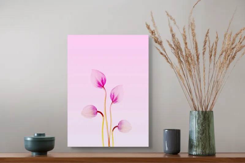 Tablou Canvas, "Corole roz spre lumina dimineții", Floare, Grație, Delicatețe, Pastel, Subtilitate, Artă, Natură, Simplitate, 39 x 54 cm – poza 3
